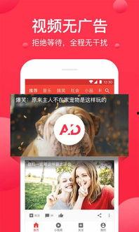 黑瓜爆料网站大全视频下载,海量视频下载攻略揭秘  第2张